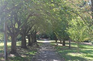 Everhart Park