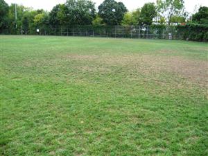 Greenfield Athletic Field 