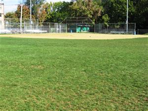 Greenfield Park